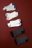 5-Pack Everyday Ankle Sock