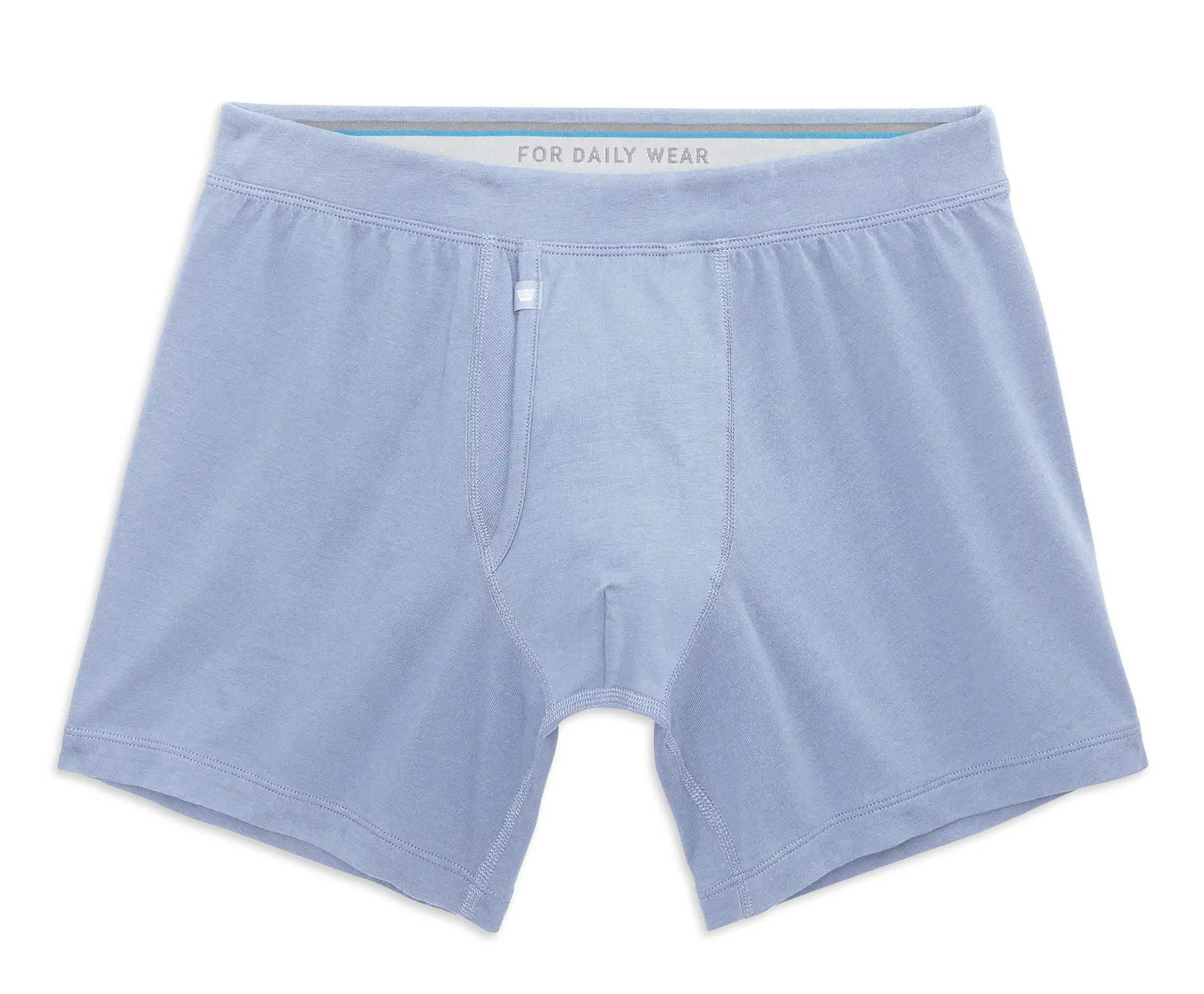 SILVER Boxer Brief