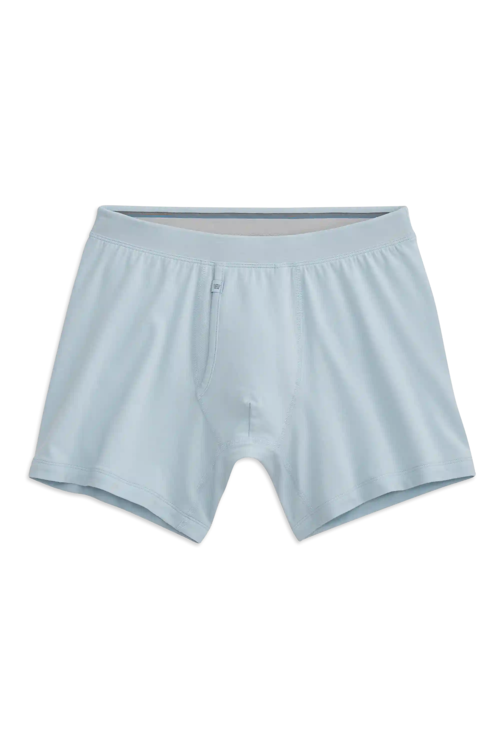 SILVER Boxer Brief