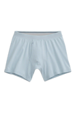 SILVER Boxer Brief