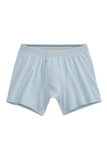 SILVER Boxer Brief