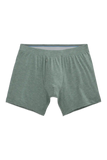 SILVER Boxer Brief