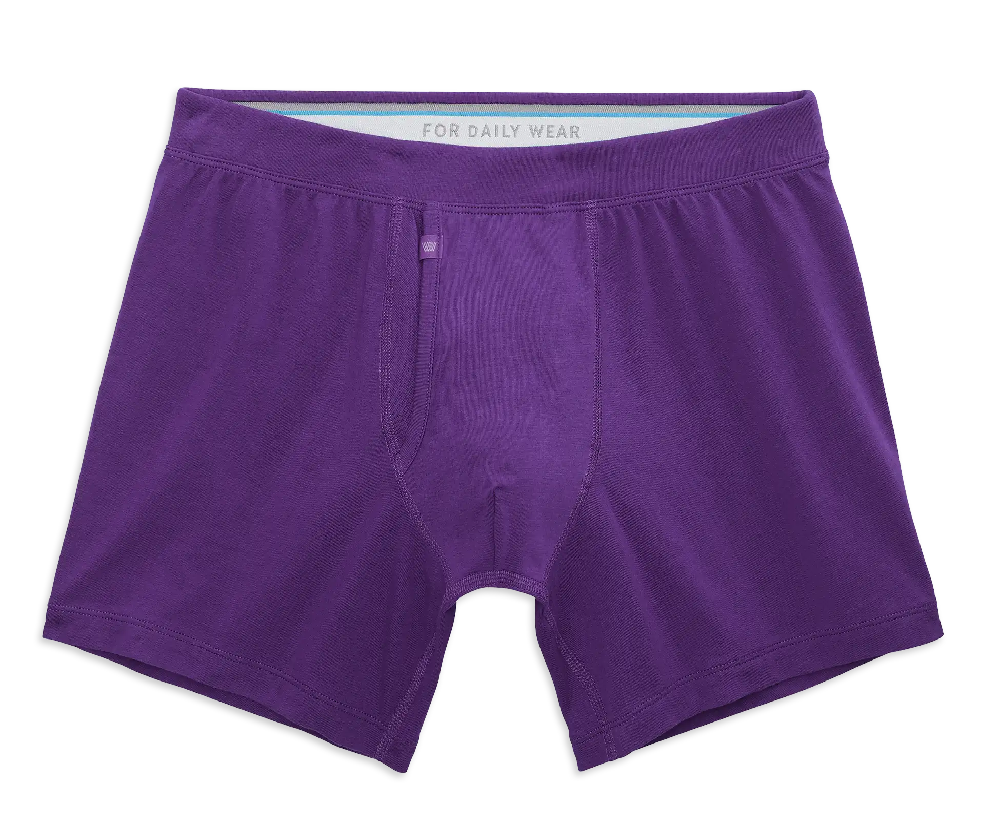 SILVER Boxer Brief