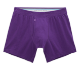 SILVER Boxer Brief