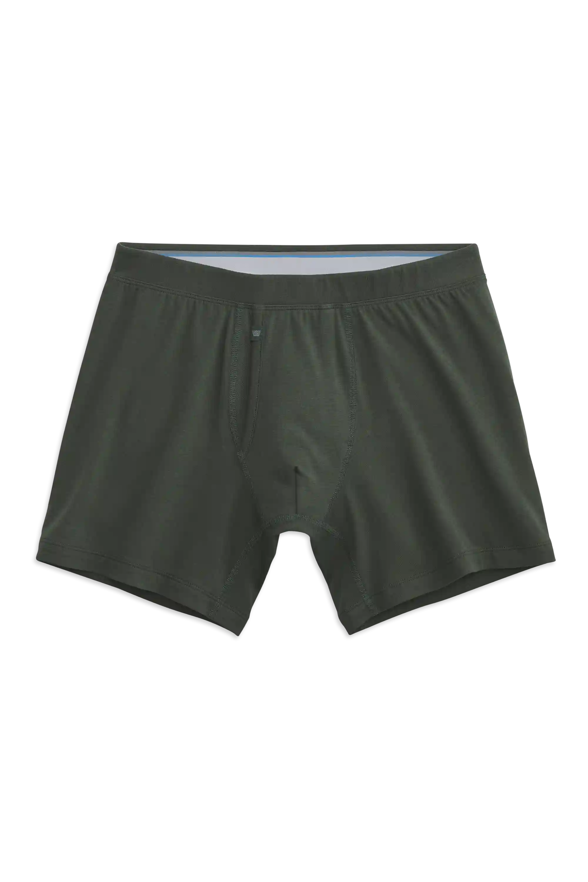 SILVER Boxer Brief