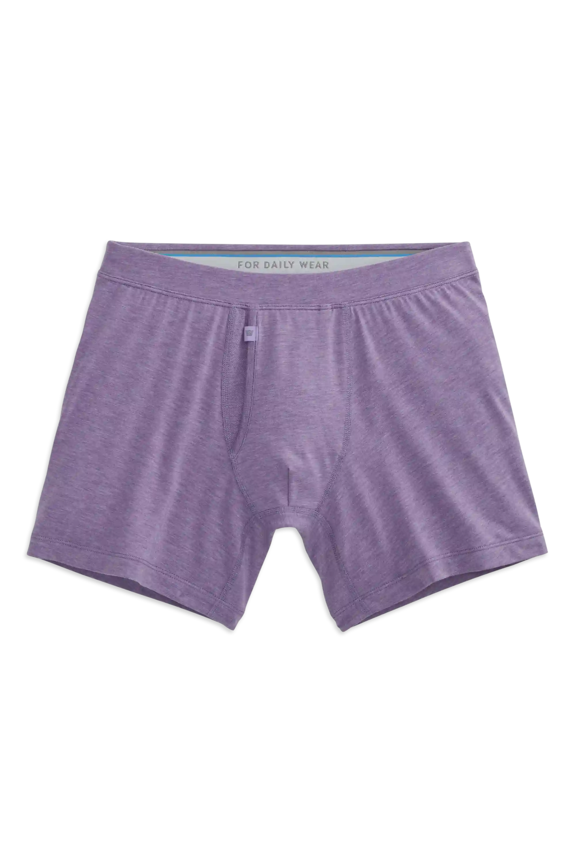SILVER Boxer Brief
