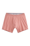 SILVER Boxer Brief