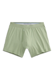 SILVER Boxer Brief