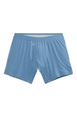 SILVER Boxer Brief