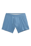 SILVER Boxer Brief