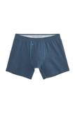 SILVER Boxer Brief