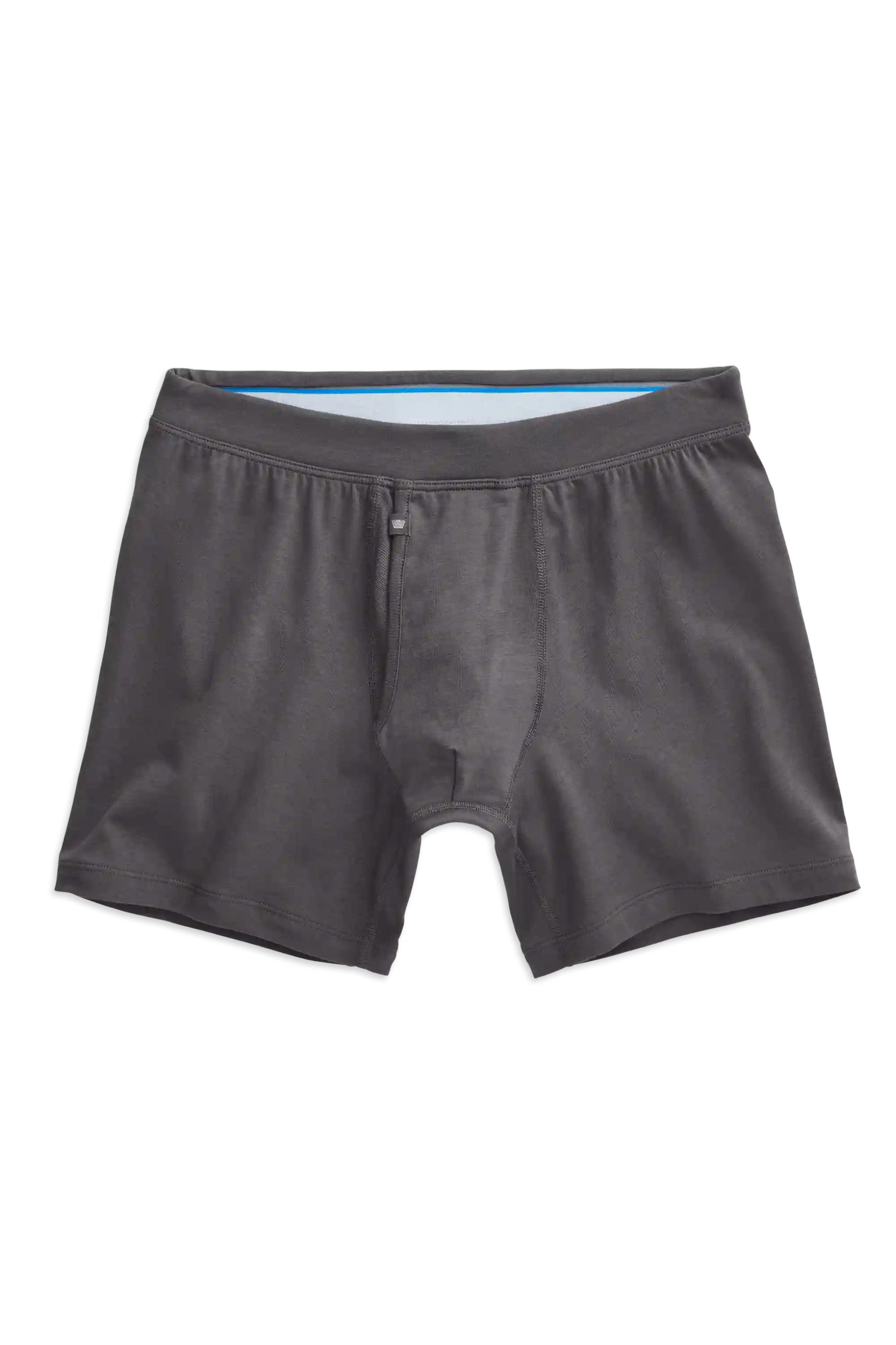 SILVER Boxer Brief