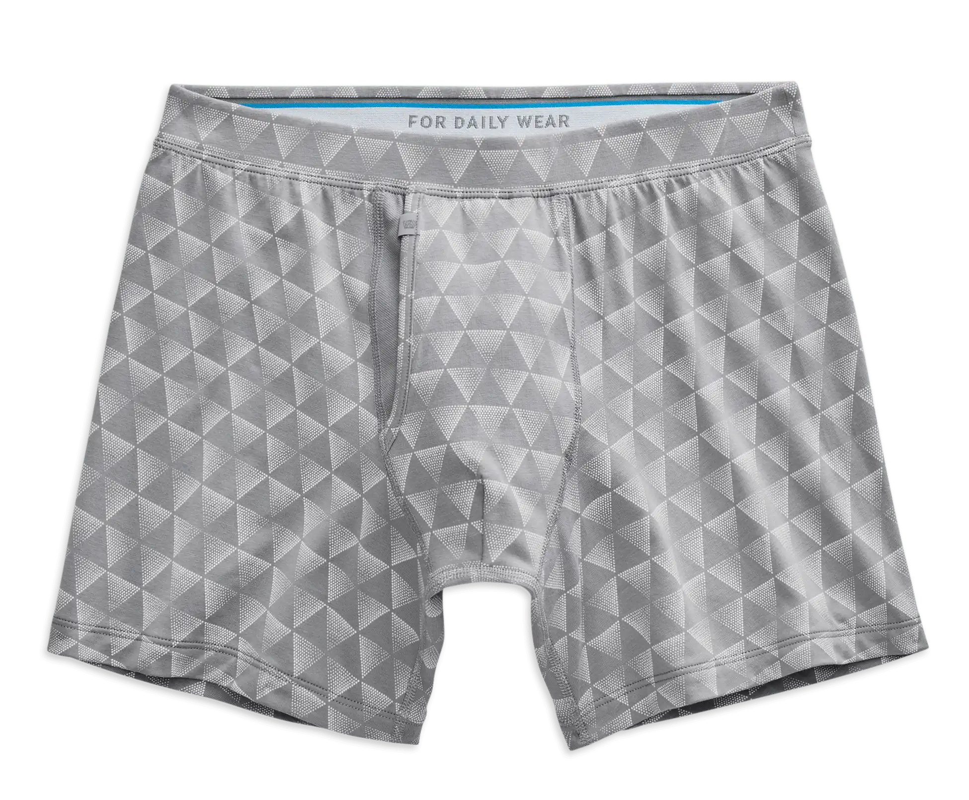 SILVER Boxer Brief