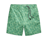Swim Trunk