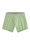 SILVER Boxer Brief