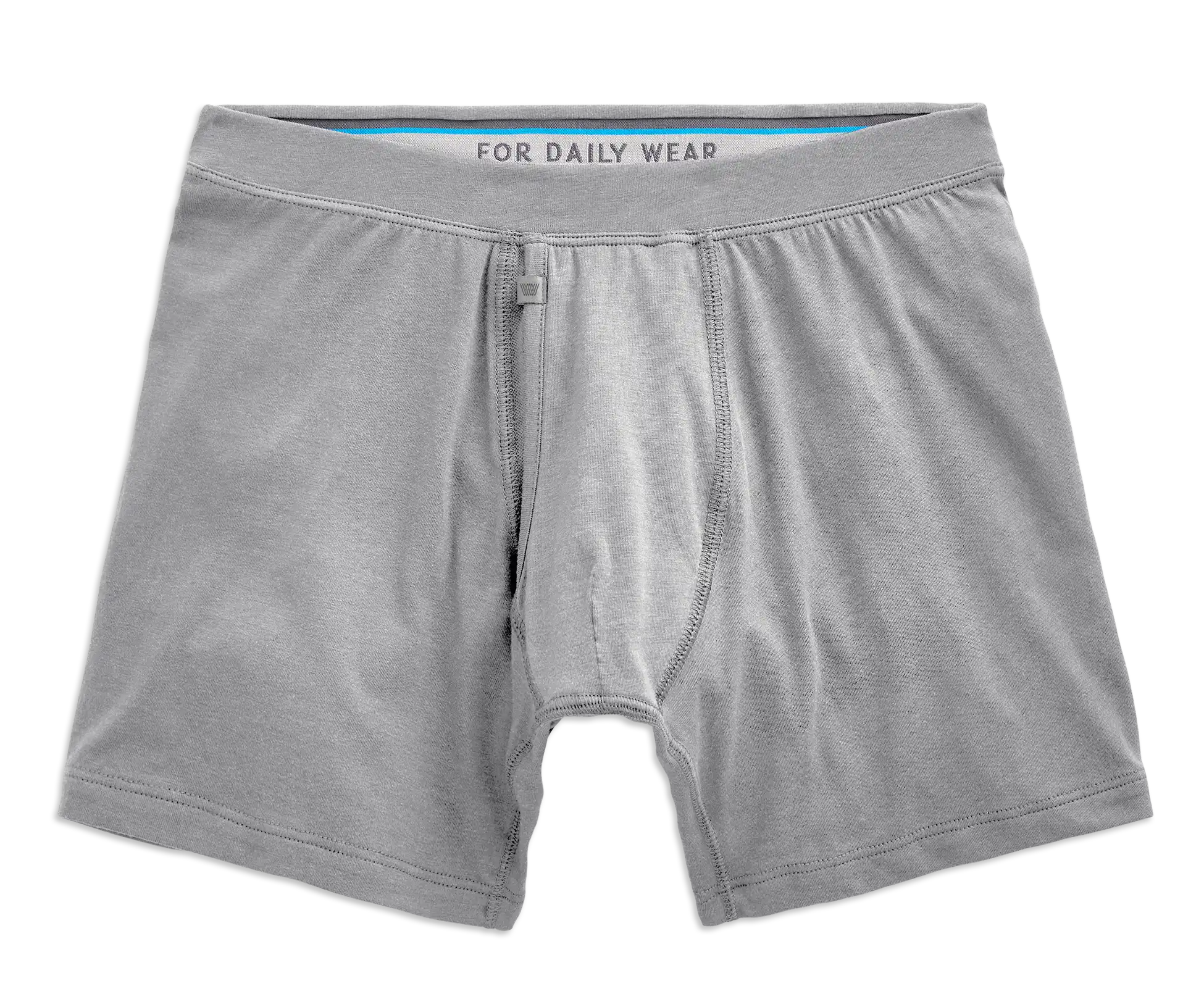 SILVER Boxer Brief