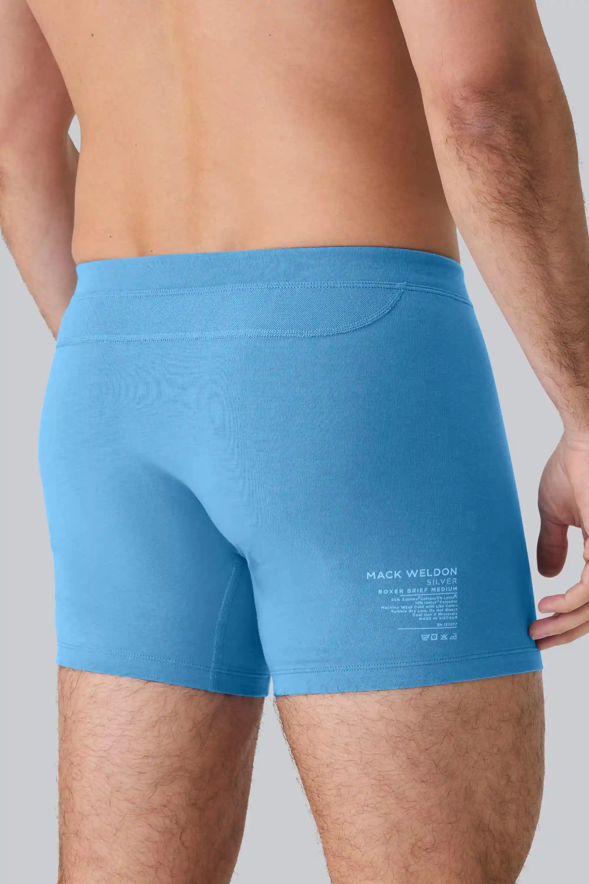 SILVER Boxer Brief